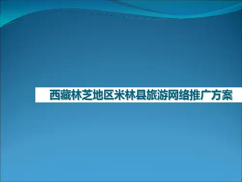 米林县旅游网络推广方案