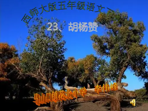西师版语文第十册《胡杨赞》PPT教学课件