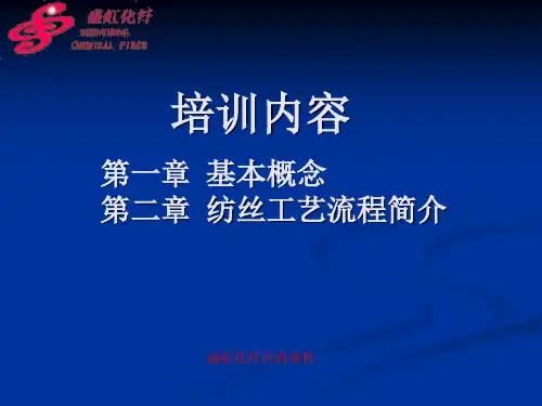 纺丝工艺流程简介
