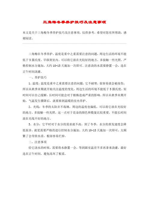 三角梅冬季养护技巧及注意事项