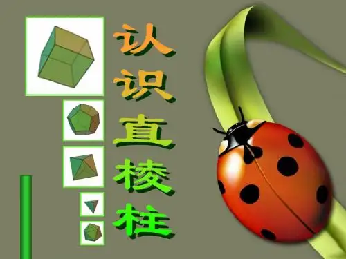 3.1 认识直棱柱