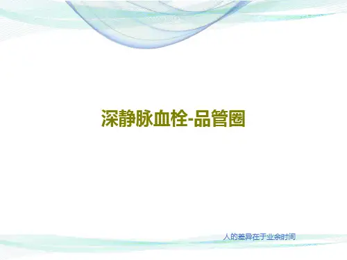 深静脉血栓-品管圈共47页文档