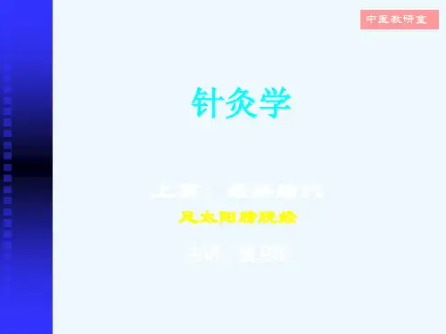 针灸学9足太阳膀胱经