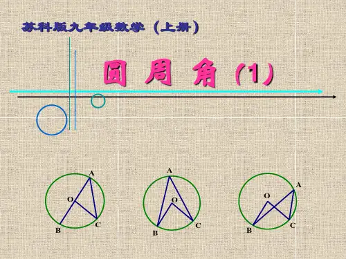 圆周角(1)(优质竞赛课件)