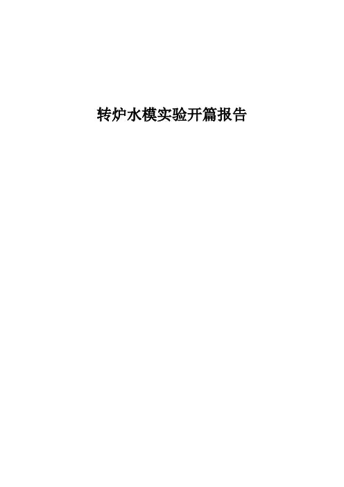 转炉水模开篇报告