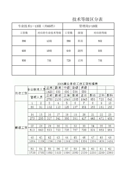 专业技术人员等级区分表
