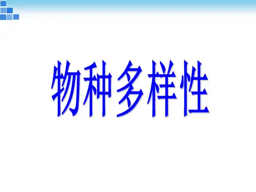 物种多样性