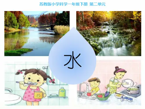 一年级下册科学-水是什么样的-苏教版(16张)