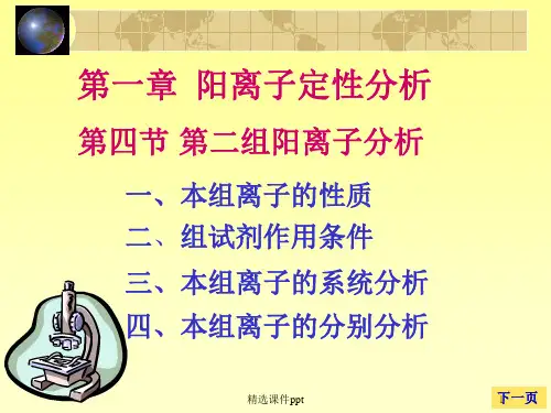 《大学分析化学教学课件》第四节 第二组阳离子分析