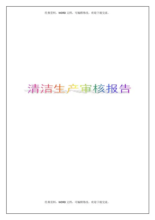 清洁生产审核报告 2