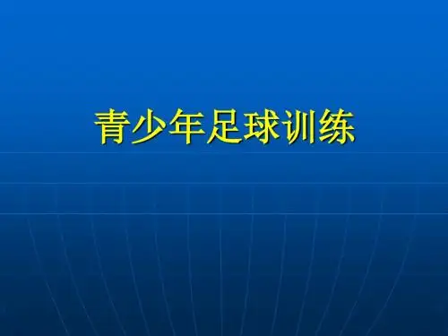 青少年足球训练