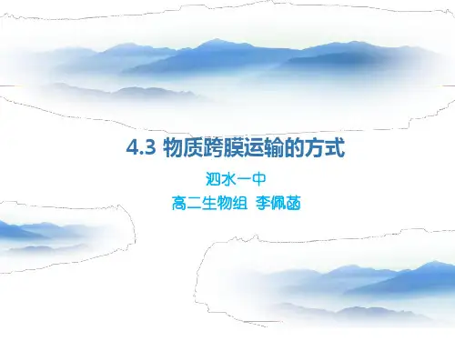 物质跨膜运输的方式(一轮复习课件)