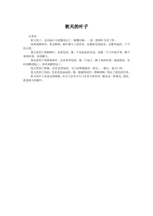 秋天的叶子