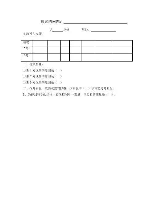 小组WORD作业文档