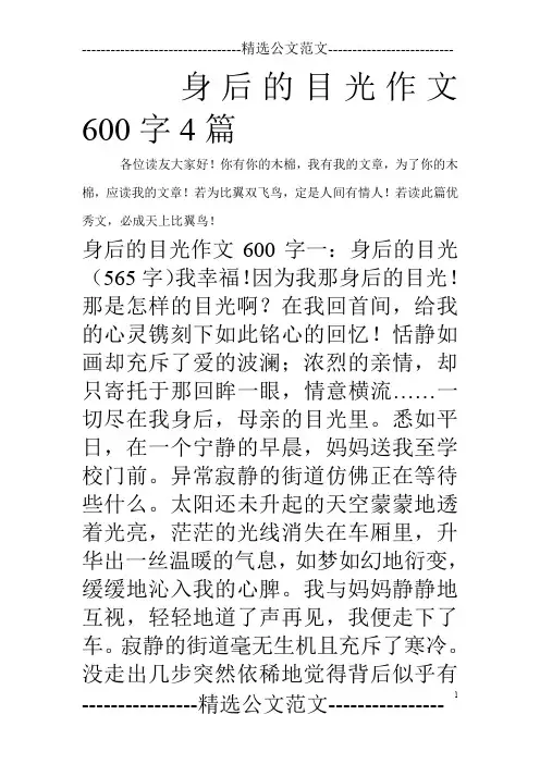 身后的目光作文600字4篇_0