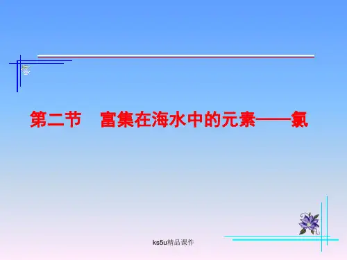 第二节-富集在海水中的元素——氯