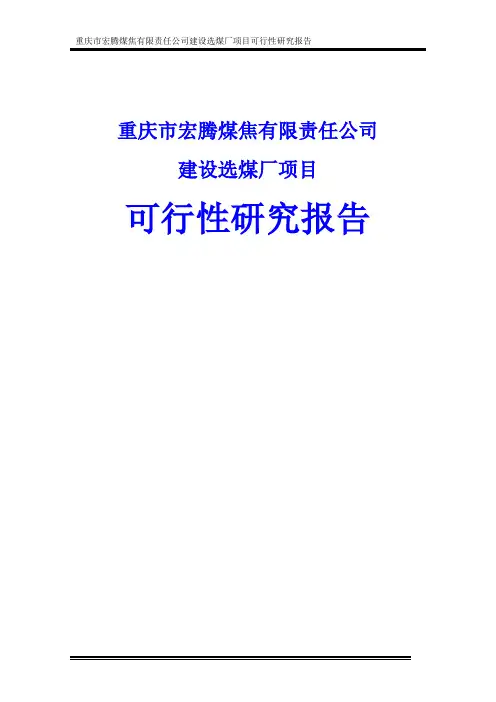建设选煤厂项目可行性研究报告