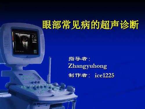 眼部常见病的超声诊断