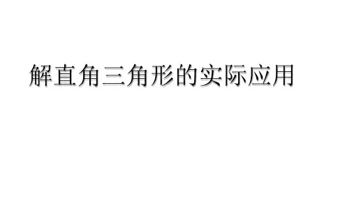 中考总复习 解直角三角形的实际应用