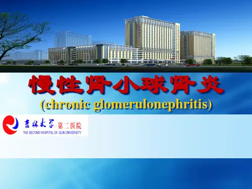 慢性肾小球肾炎(2)111