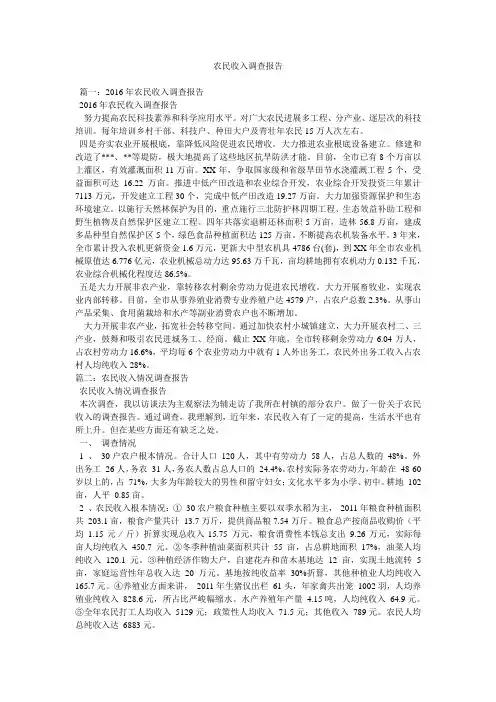 农民收入调查报告