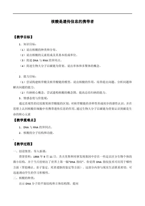 高中必修一生物《核酸是遗传信息的携带者》教案