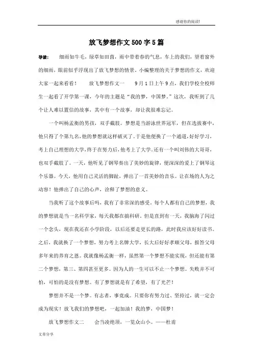 放飞梦想作文500字5篇