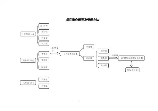 项目操作流程完整版