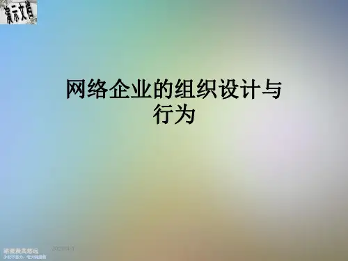 网络企业的组织设计与行为