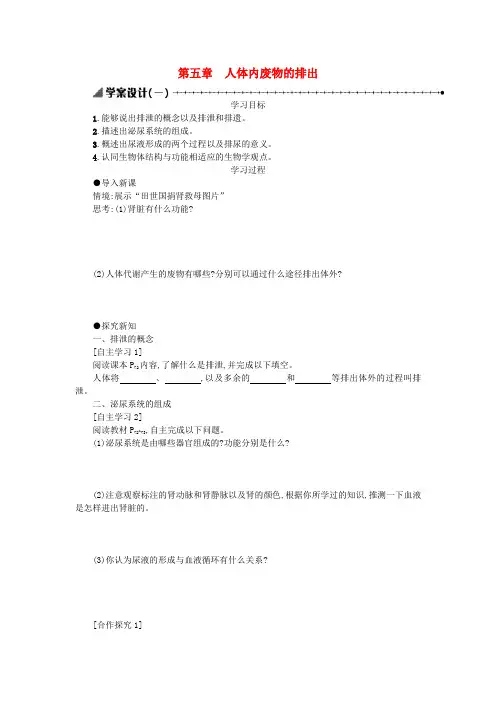 七年级生物下册第四单元第五章人体内废物的排出学案设计一新版新人教版85