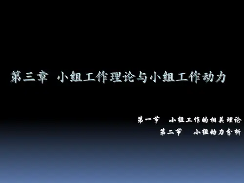 小组工作的相关理论与小组动力