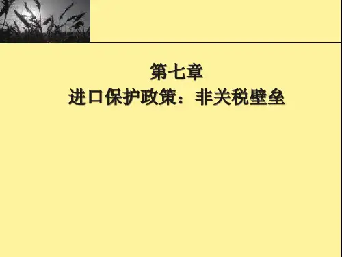 国际贸易第七章