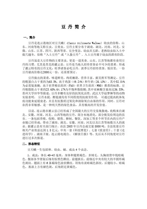 豆丹简介