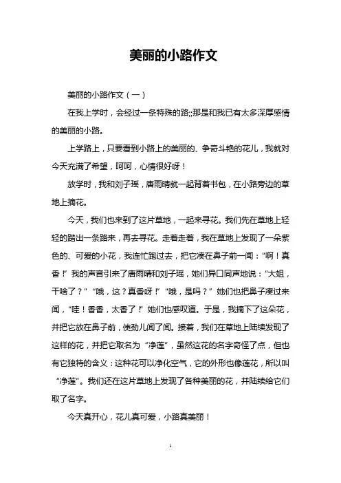 美丽的小路作文