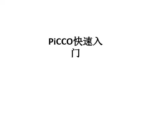 PiCCO快速入门ppt课件