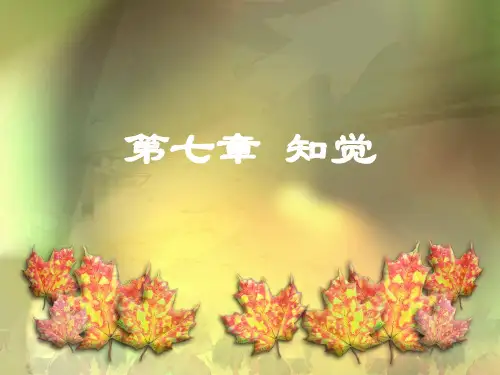 7第七章知觉