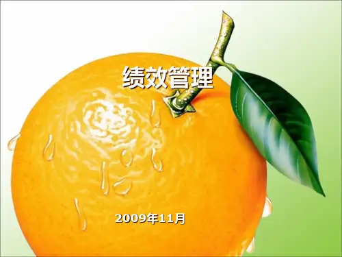 某科技的价值观绩效考核管理