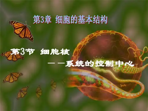 人教版高中生物必修一第三章第三节课件