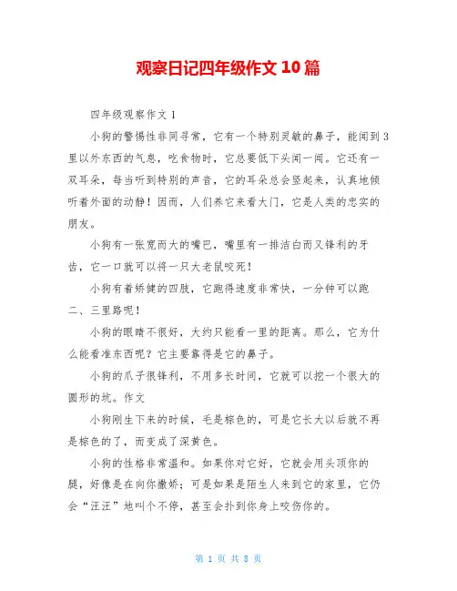 观察日记四年级作文10篇
