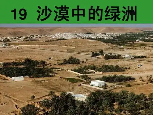 沙漠中的绿洲PPT_张敬明