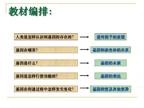 生物的变异ppt13 人教版