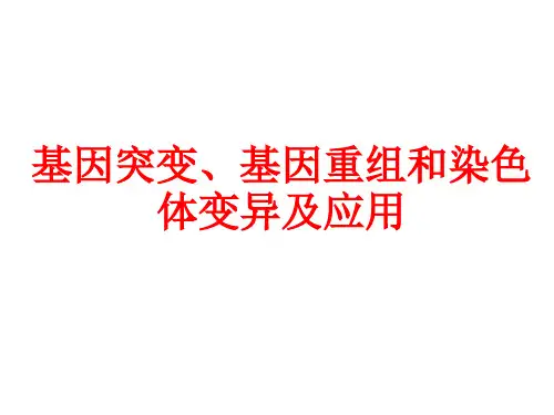 基因突变、基因重组和染色体变异