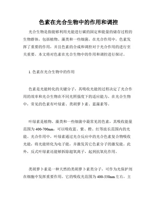 色素在光合生物中的作用和调控