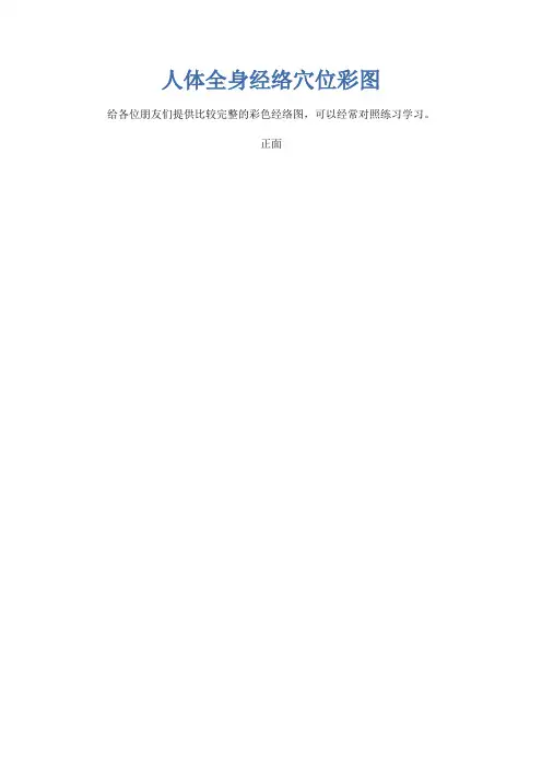 人体全身经络穴位彩图