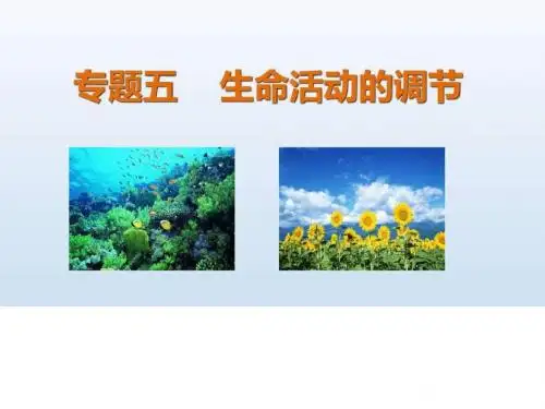 动物生命活动调节二轮复习_图文.ppt.