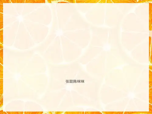花坛设计49781[优质ppt]
