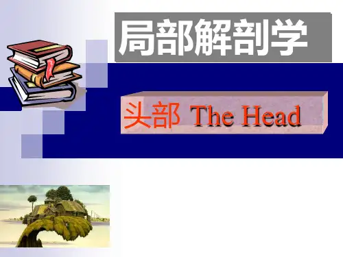 局部解剖学-第一章 头部