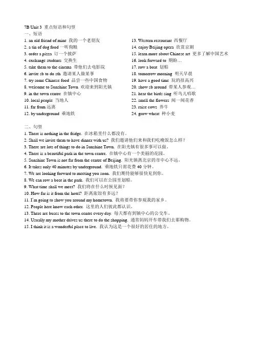 7B Unit 3 重点短语和句型
