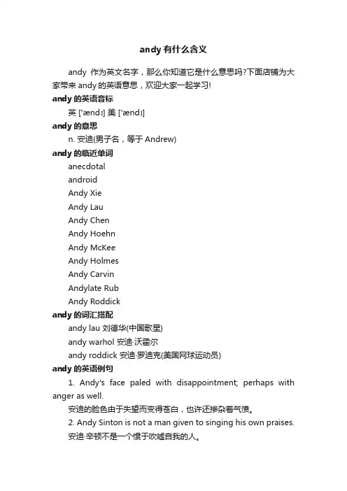 andy有什么含义