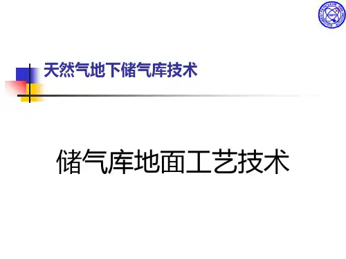 天然气地下储气库技术PPT课件